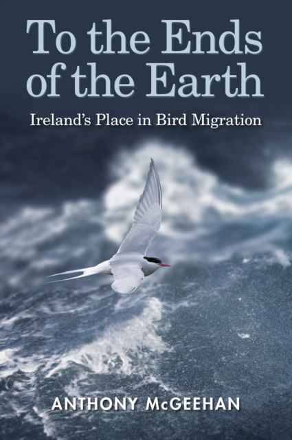 To the Ends of the Earth : Ireland's Place in Bird Migration, Hardback Book