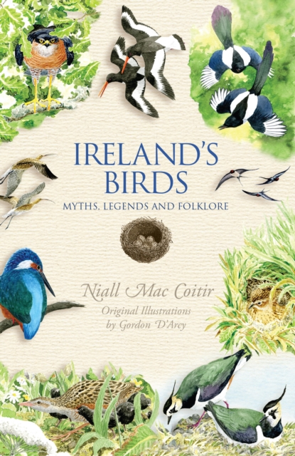 Ireland's Birds, EPUB eBook