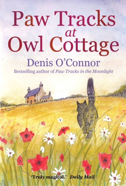 Paw Tracks at Owl Cottage, EPUB eBook