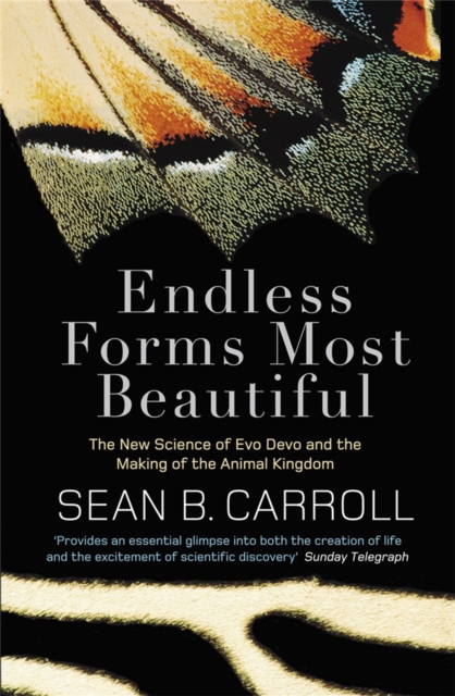 Endless Forms Most Beautiful : The New Science of Evo Devo and the Making of the Animal Kingdom, Paperback / softback Book