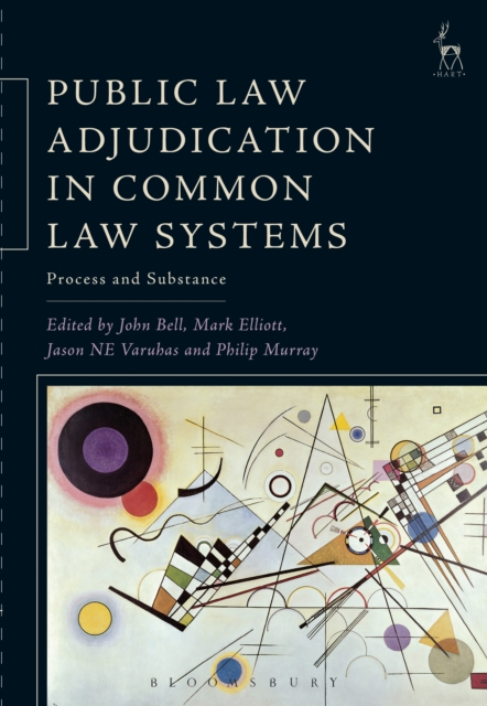 Public Law Adjudication in Common Law Systems : Process and Substance, EPUB eBook