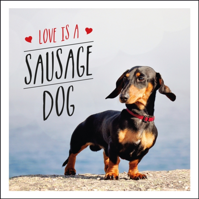 Love is a Sausage Dog : A Pup-Tastic Celebration of Dachshunds - The World's Cutest Dogs, Hardback Book