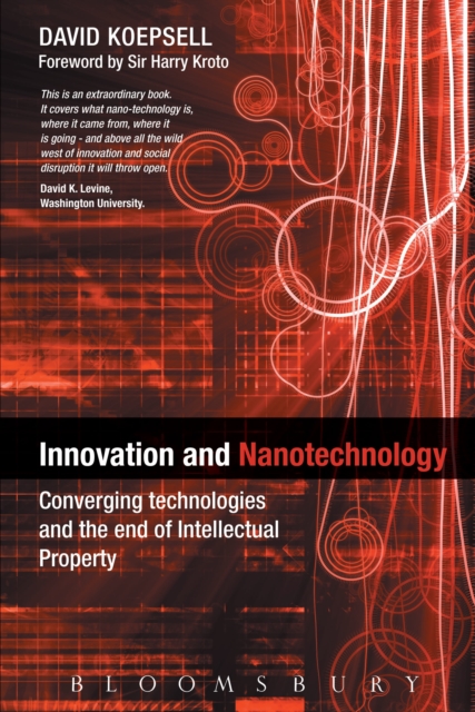 Innovation and Nanotechnology : Converging Technologies and the End of Intellectual Property, EPUB eBook