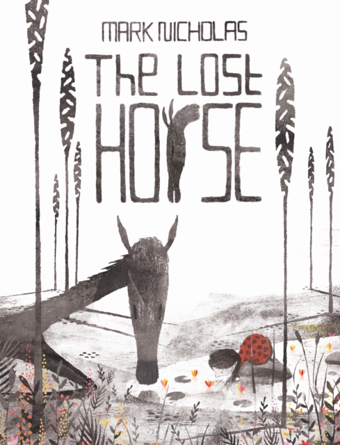 The Lost Horse, Hardback Book