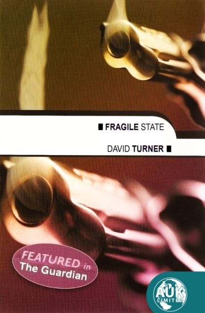 Fragile State, EPUB eBook