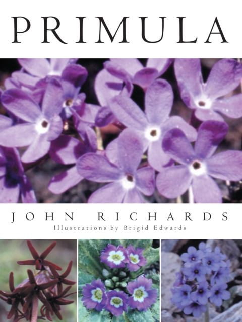 Primula, EPUB eBook