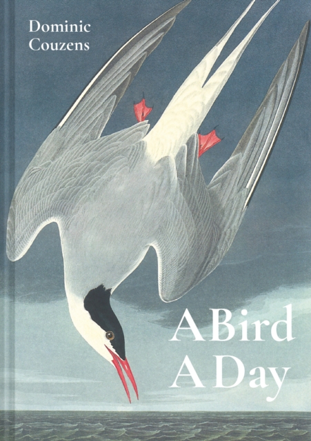 A Bird A Day, Hardback Book