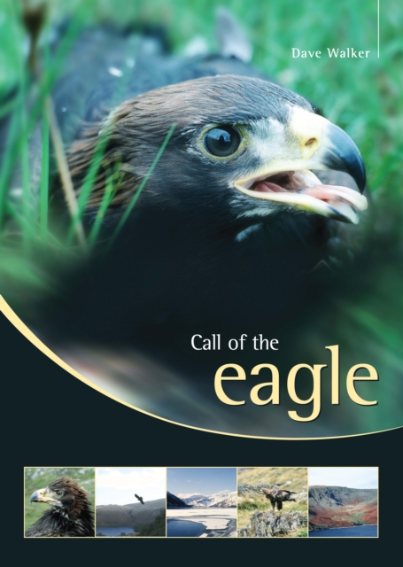 Call of the Eagle, EPUB eBook