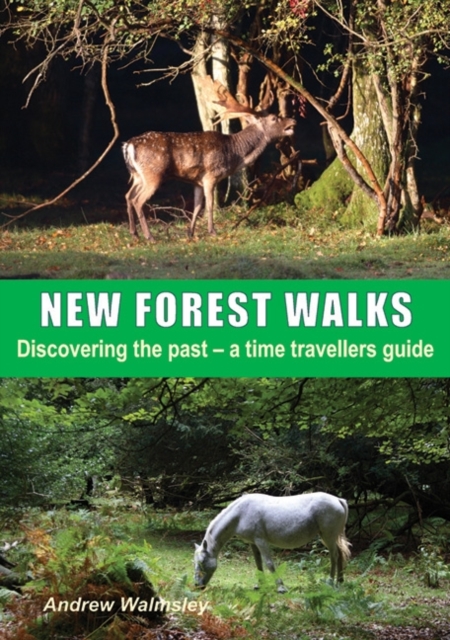 New Forest Walks, Paperback / softback Book