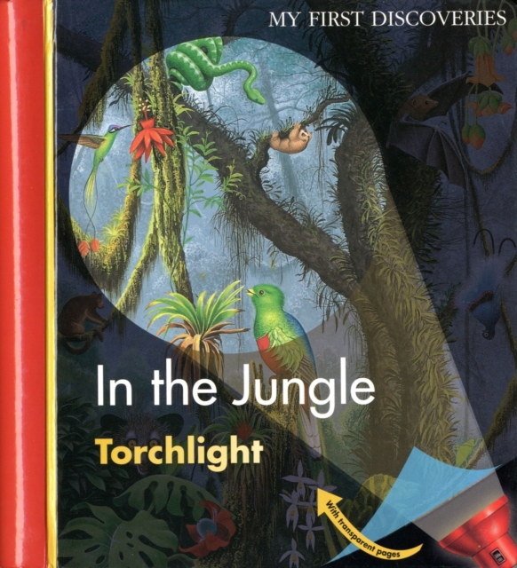 In the Jungle, Hardback Book