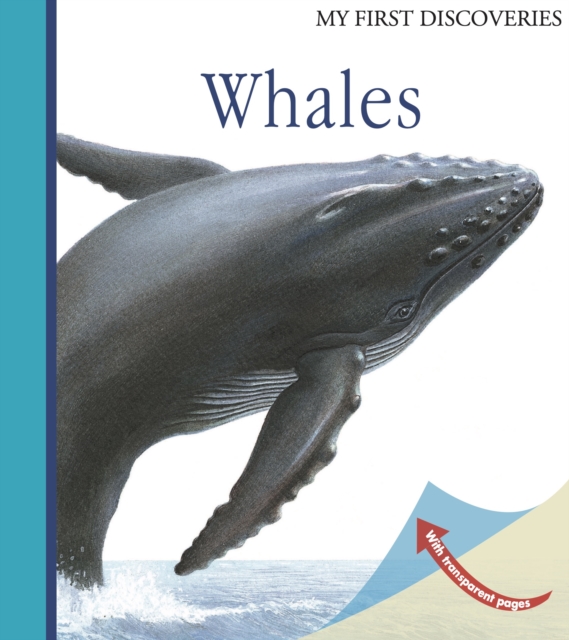 Whales, Spiral bound Book