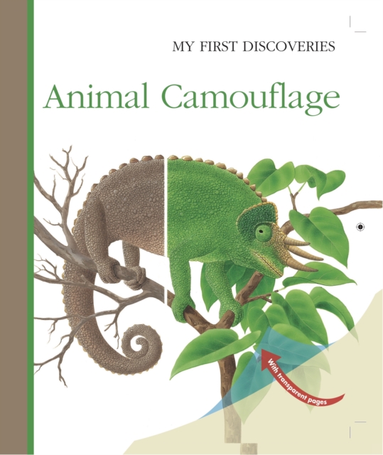 Animal Camouflage, Hardback Book