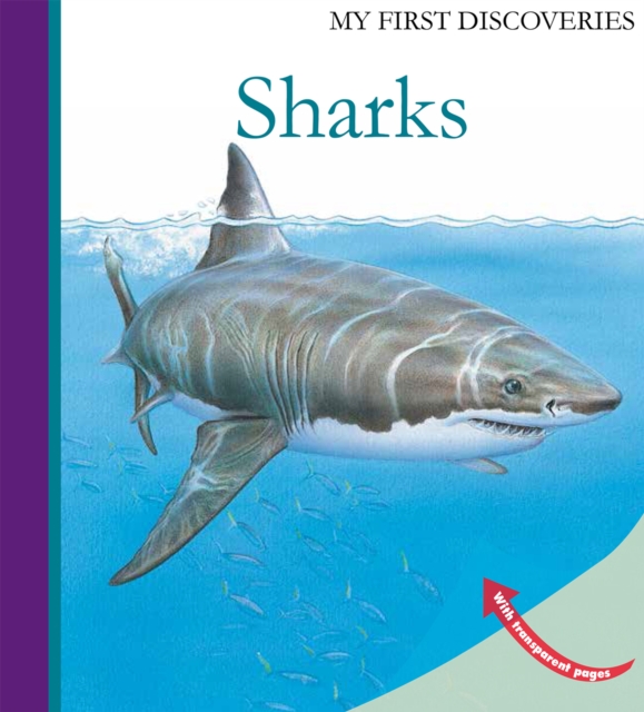 Sharks, Hardback Book