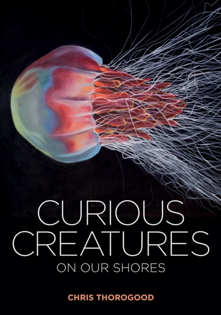 Curious Creatures on our Shores, Hardback Book