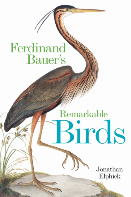 Ferdinand Bauer's Remarkable Birds, Hardback Book