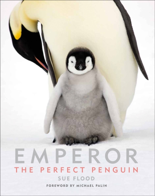 Emperor : The Perfect Penguin, Hardback Book