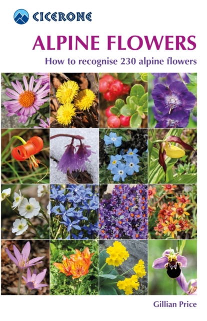 Alpine Flowers : How to recognise 230 alpine flowers, Paperback / softback Book