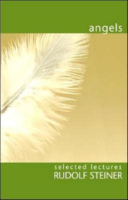 Angels, Paperback / softback Book