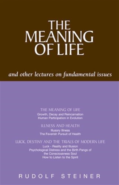 The Meaning of Life and Other Lectures on Fundamental Issues, EPUB eBook