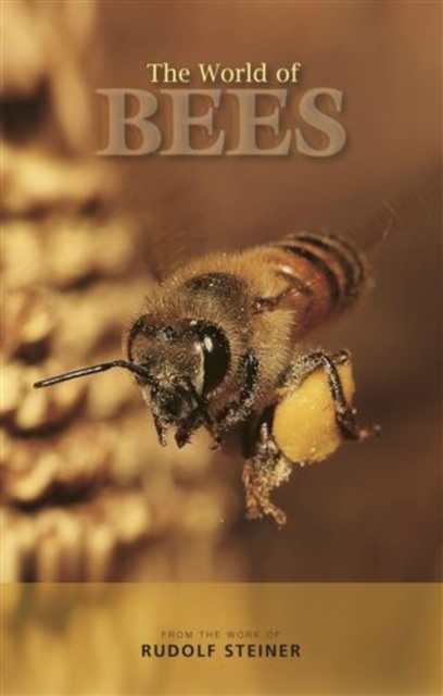 The World of Bees, EPUB eBook