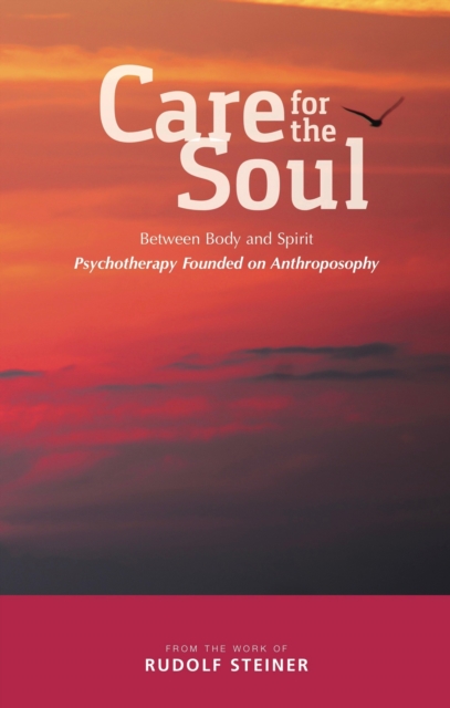 Care for the Soul, EPUB eBook