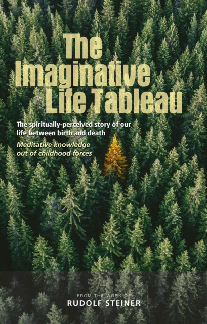 The Imaginative Life Tableau, EPUB eBook
