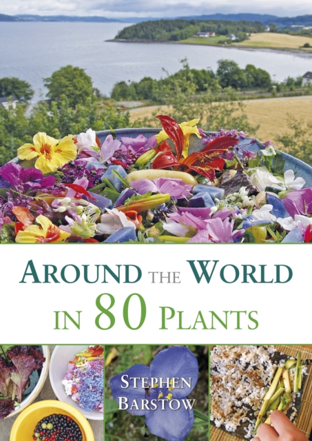 Around the world in 80 plants : An edible perrenial vegetable adventure for temperate climates, Paperback / softback Book