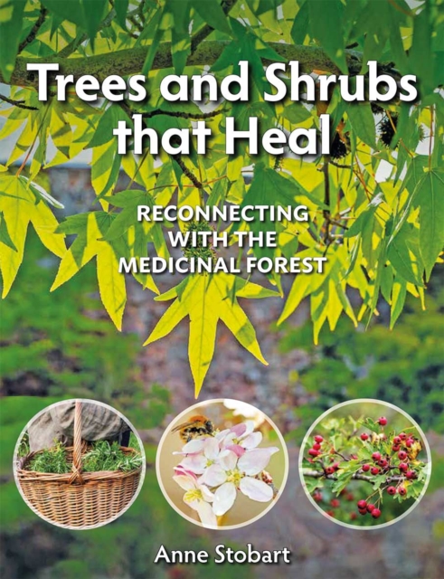 Trees and Shrubs That Heal, EPUB eBook
