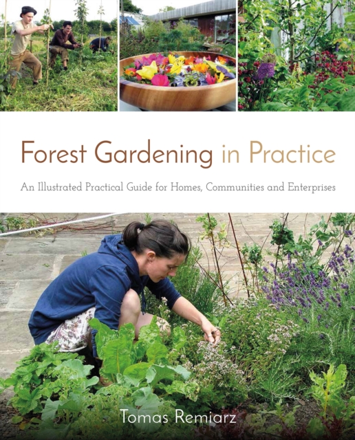 Forest Gardening in Practice: An Illustrated Practical Guide for Homes, Communities and Enterprises, Paperback / softback Book