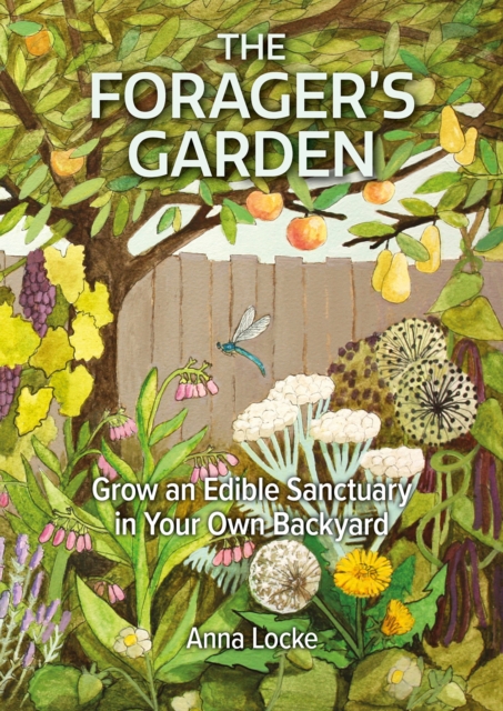 The Forager's Garden, Paperback / softback Book