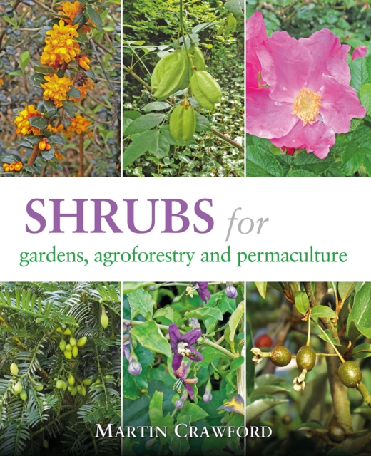 Shrubs for Gardens, Agroforestry and Permaculture, Paperback / softback Book
