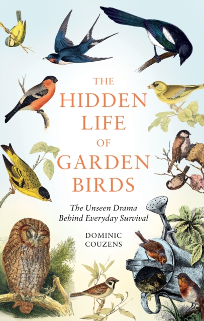 The Hidden Life of Garden Birds : The unseen drama behind everyday survival, Hardback Book