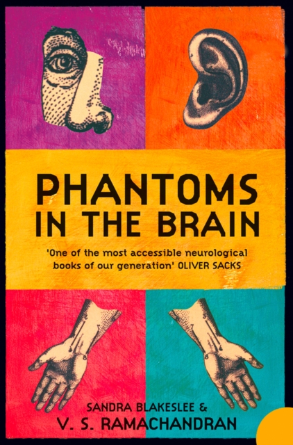 Phantoms in the Brain : Human Nature and the Architecture of the Mind, Paperback / softback Book