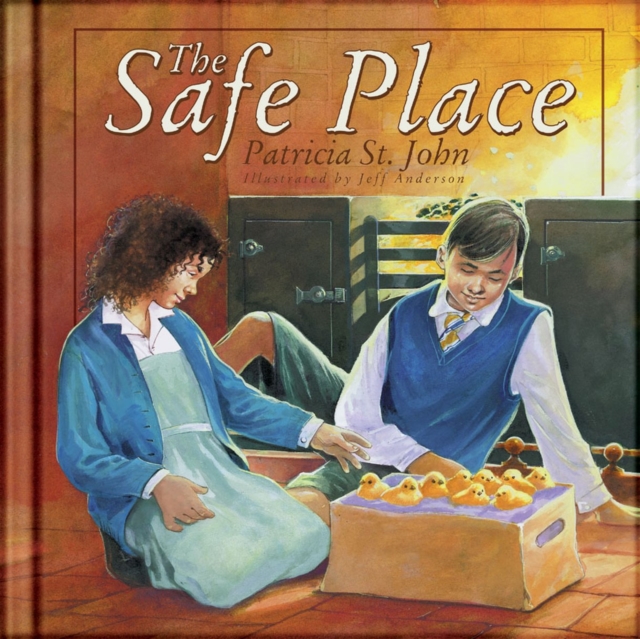 The Safe Place, Hardback Book