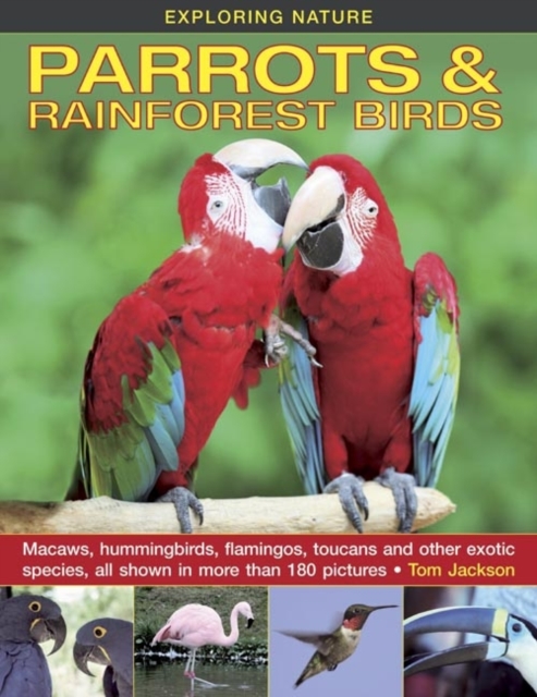 Exploring Nature: Parrots & Rainforest Birds, Hardback Book