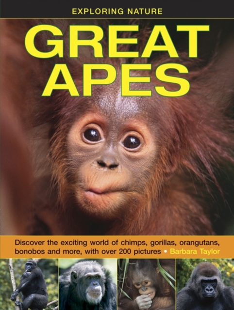 Exploring Nature: Great Apes, Hardback Book