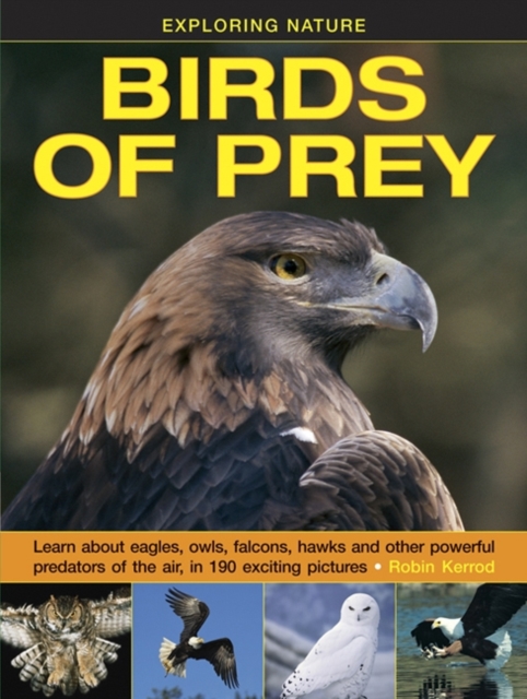 Exploring Nature: Birds of Prey, Hardback Book