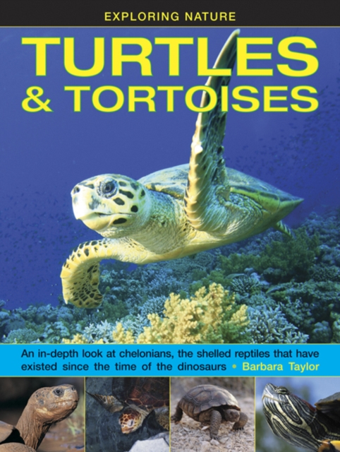 Exploring Nature: Turtles & Tortoises, Hardback Book