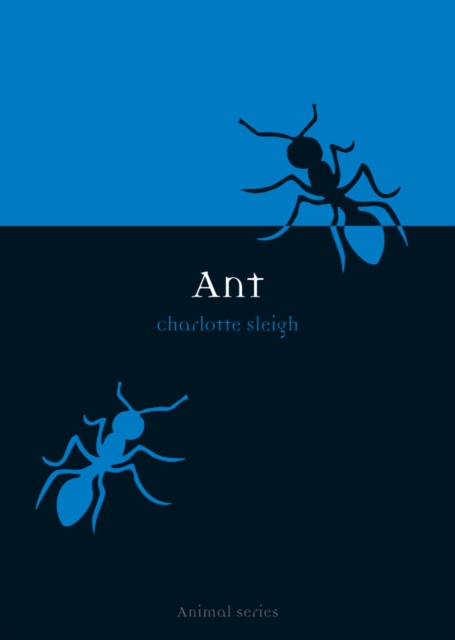 Ant, EPUB eBook