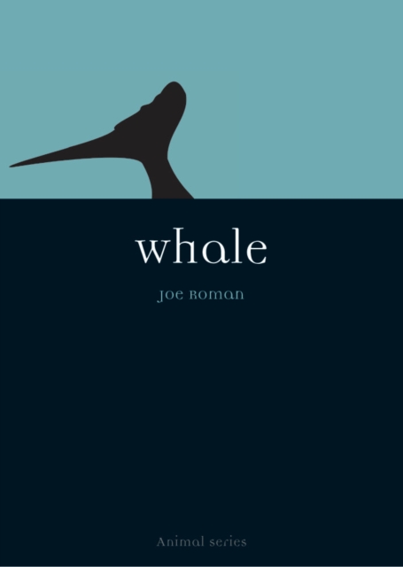 Whale, EPUB eBook