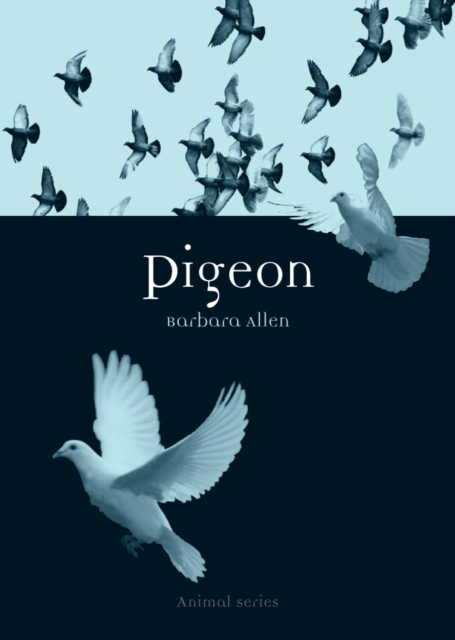 Pigeon, EPUB eBook
