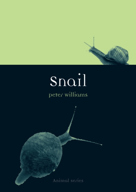 Snail, EPUB eBook