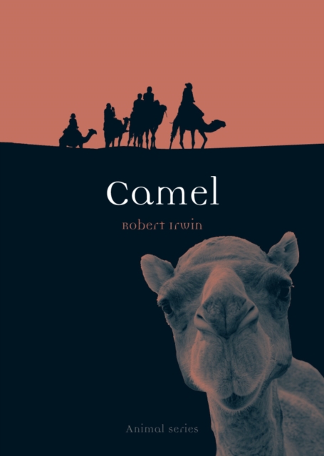 Camel, EPUB eBook