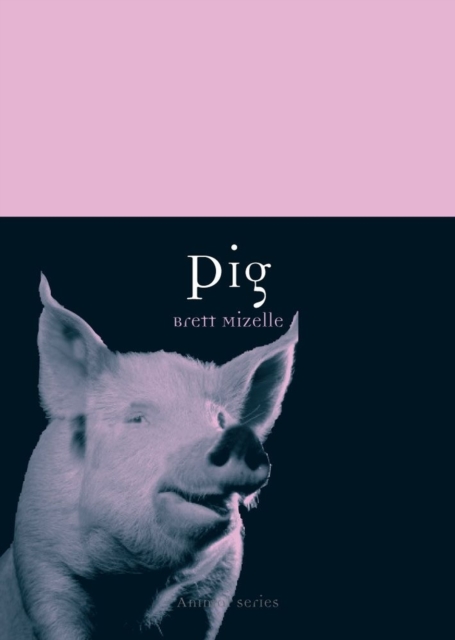 Pig, Paperback / softback Book