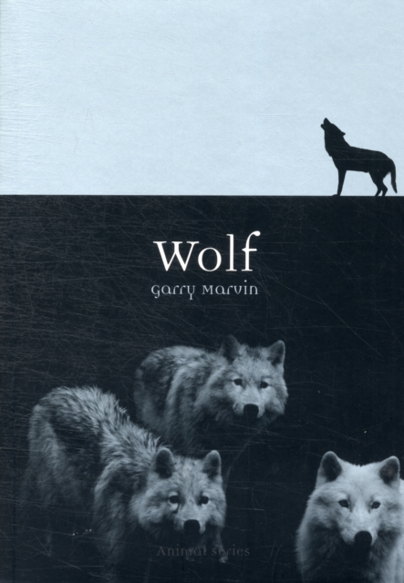 Wolf, Paperback / softback Book