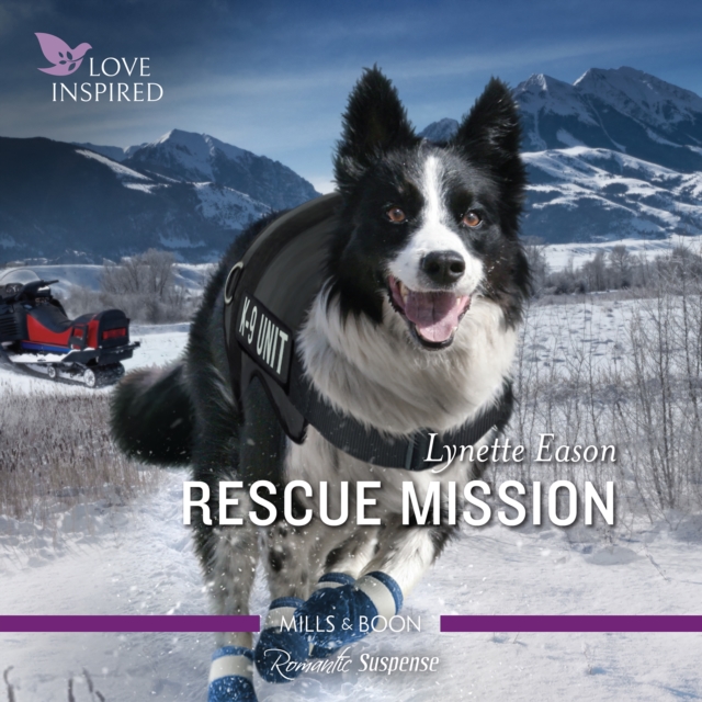 Rescue Mission, eAudiobook MP3 eaudioBook