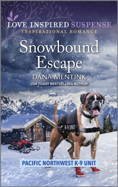 Snowbound Escape, EPUB eBook