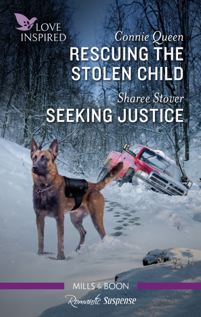 Rescuing the Stolen Child/Seeking Justice, EPUB eBook