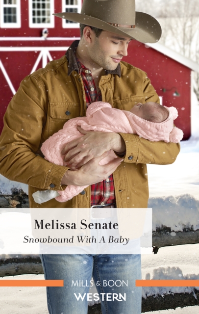Snowbound with a Baby, EPUB eBook