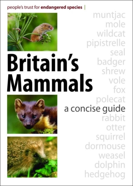 Britain's Mammals : A Concise Guide, Paperback / softback Book